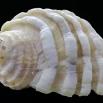 bet365香港:bet365(ベット365)の競馬の賭け方を徹底解説【最新版】 EJvKMFKS