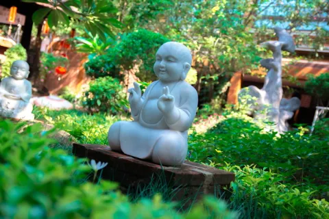 大众娱乐：桃花族论坛首页，在线真人视讯